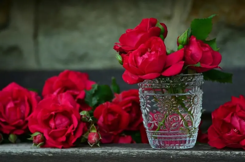 Red roses in small crystal vase