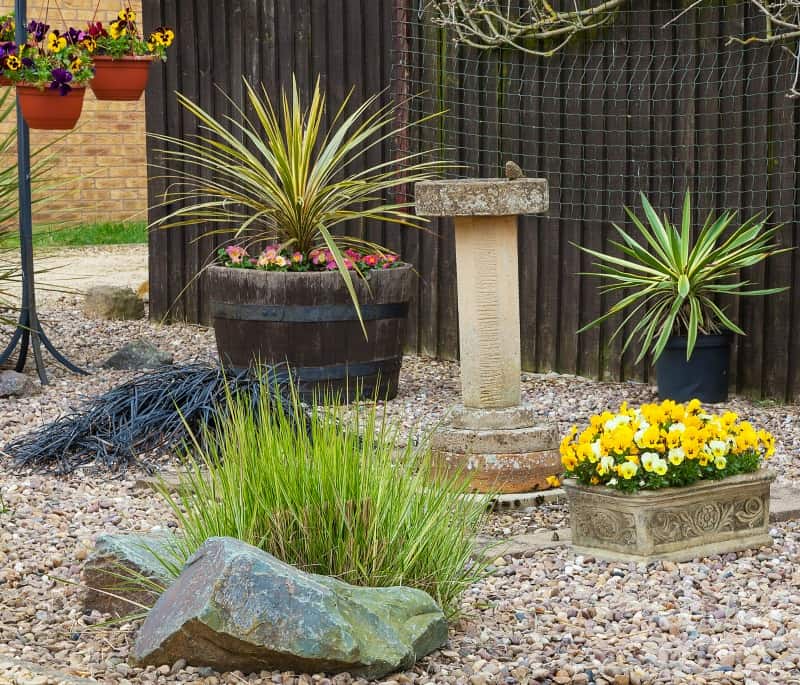 Drought Tolerant Landscaping Ideas For, Drought Tolerant Backyard Landscape Ideas