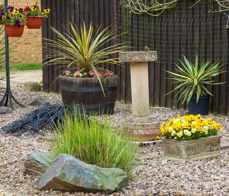 Rock garden that is drought tolerant