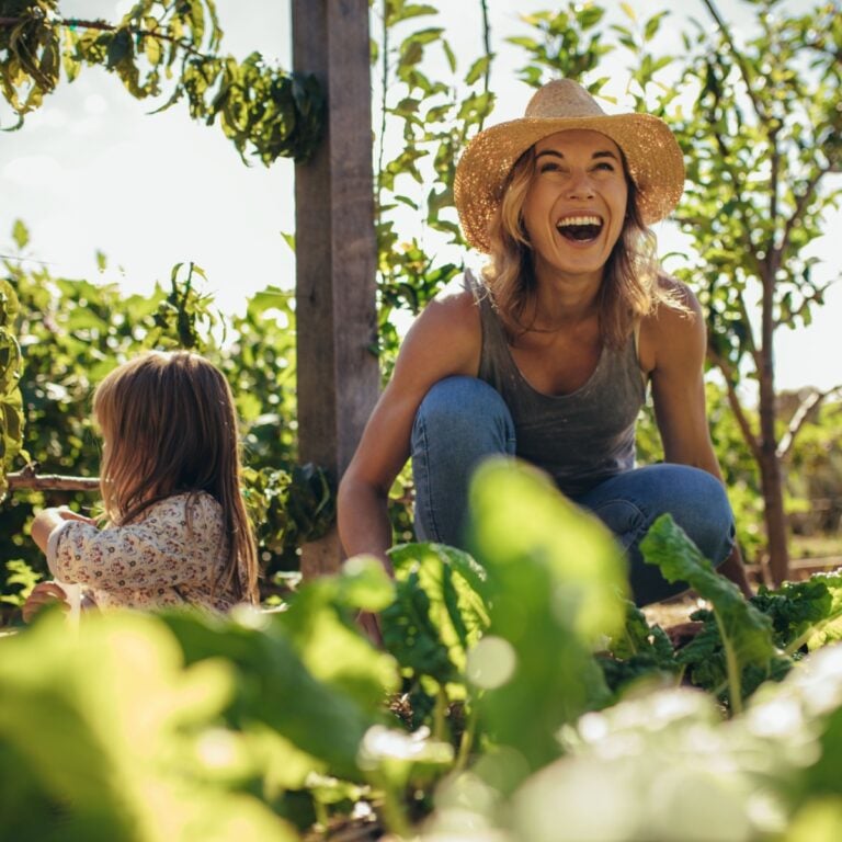 How To Plant A Kitchen Garden For Year Round Wholesome Food
