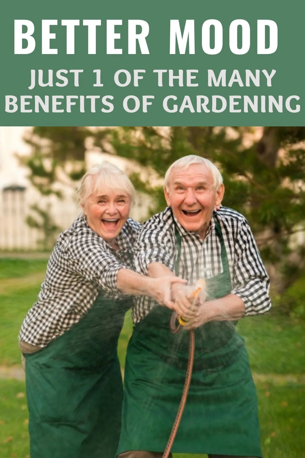 Old couple having fun with a spray hose. Better mood is just one of the benefits of gardening