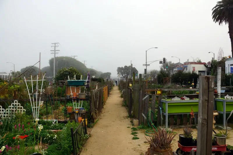 Community Garden in Santa Monica, California