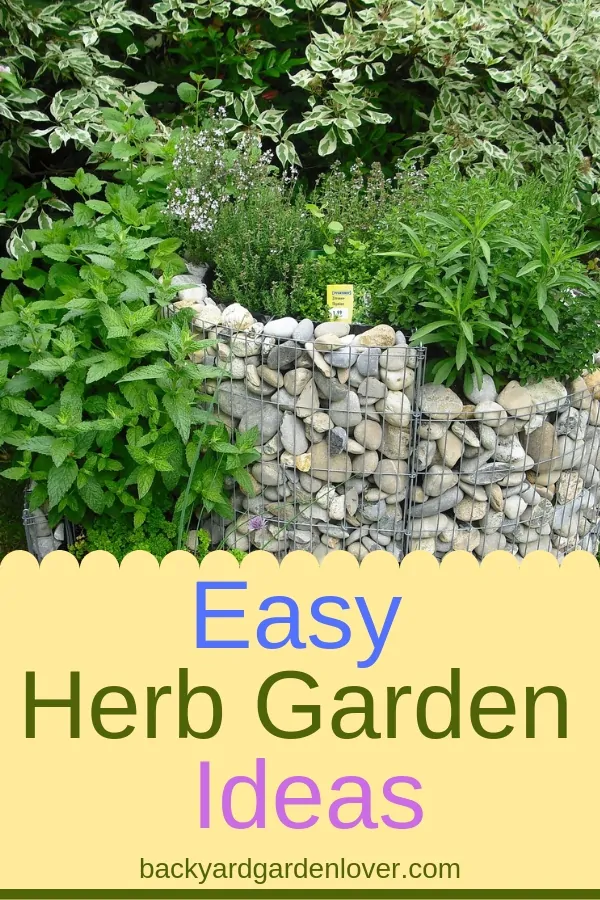 Herb garden in a rock raised bed