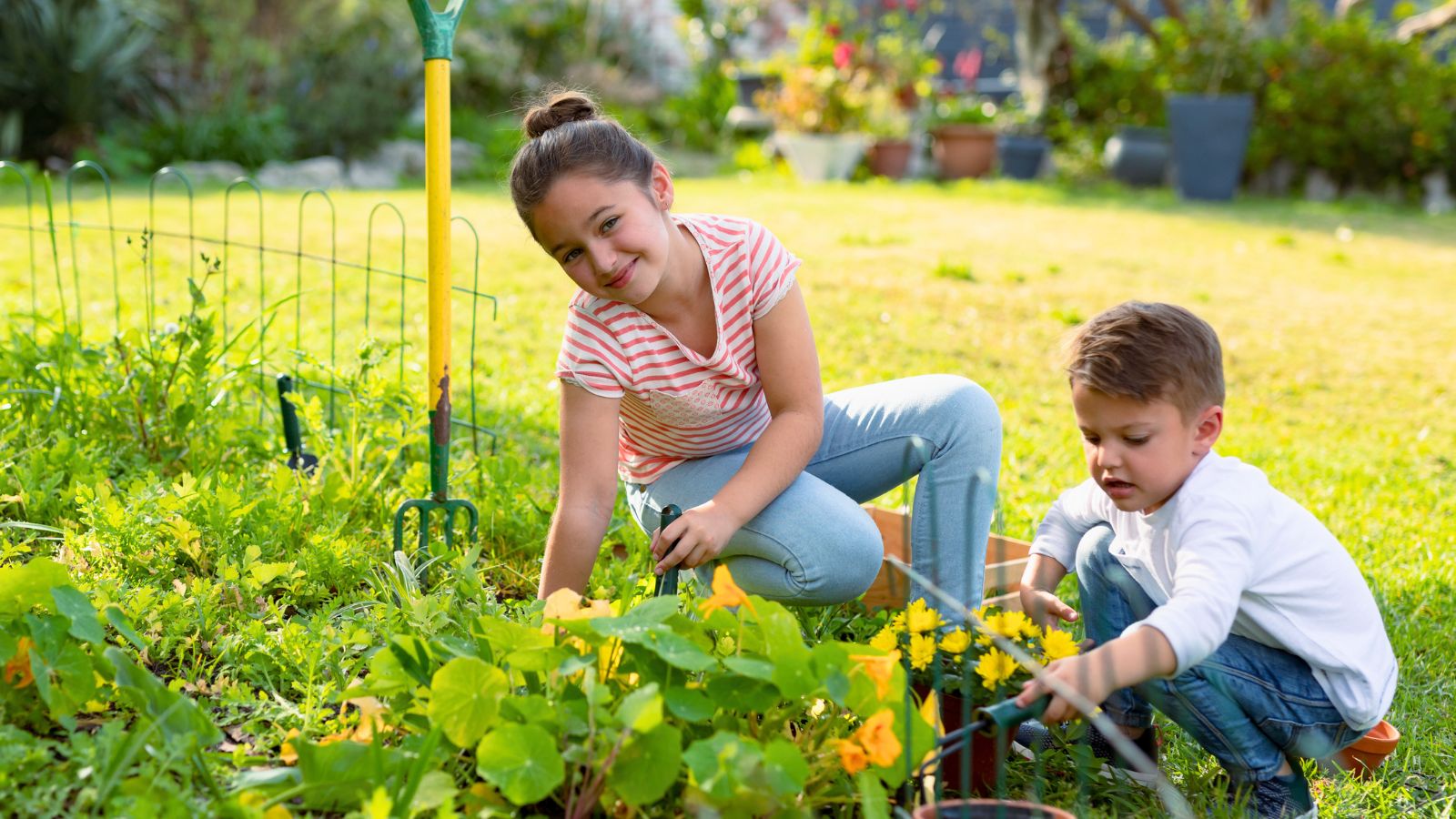 kids working in the garden.