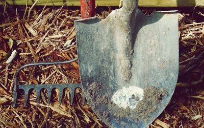 Garden tools ready for spring cleaning
