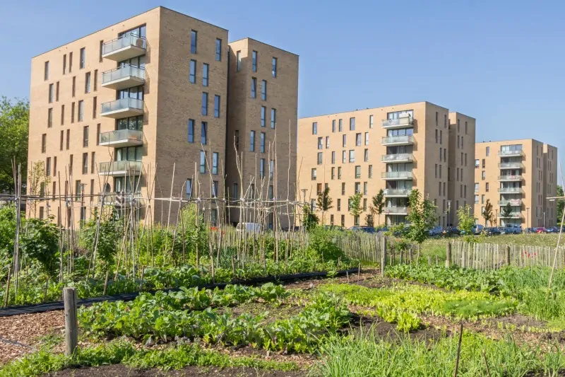 Urban greening - a thriving city garden