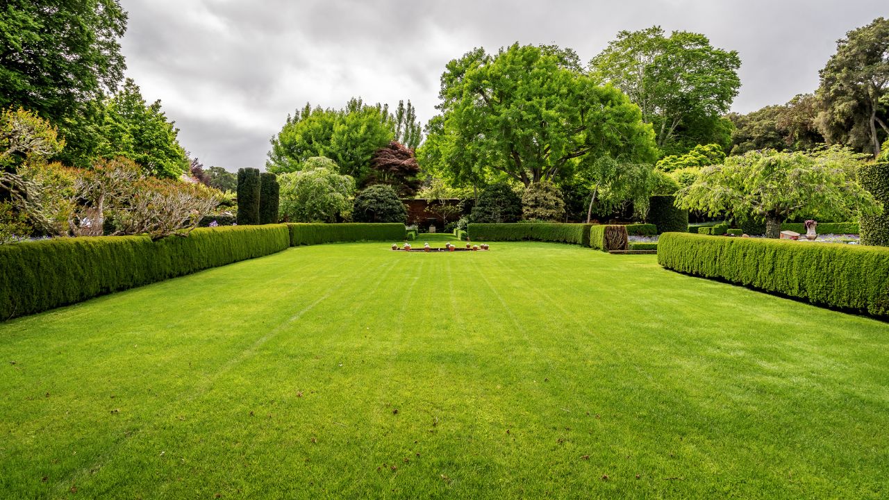 Beautiful English style garden with hedges, & symmetrical type design, with a large open green lawn for parties & open air activities. The garden is designed with European flair, class and tradition.