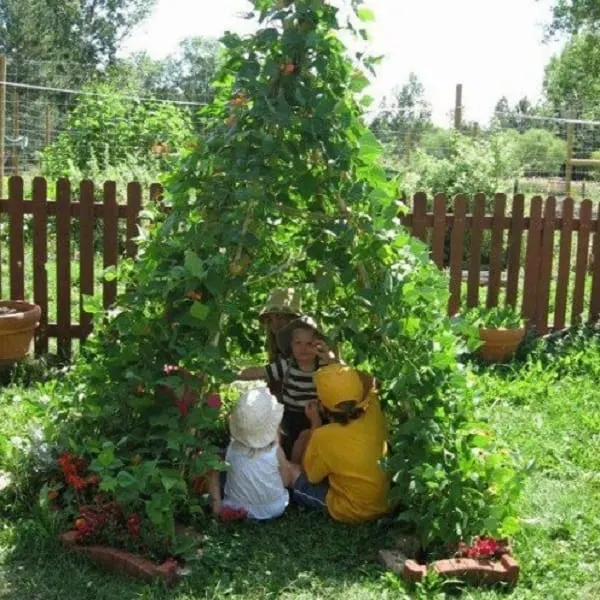 Runner bean wigwam