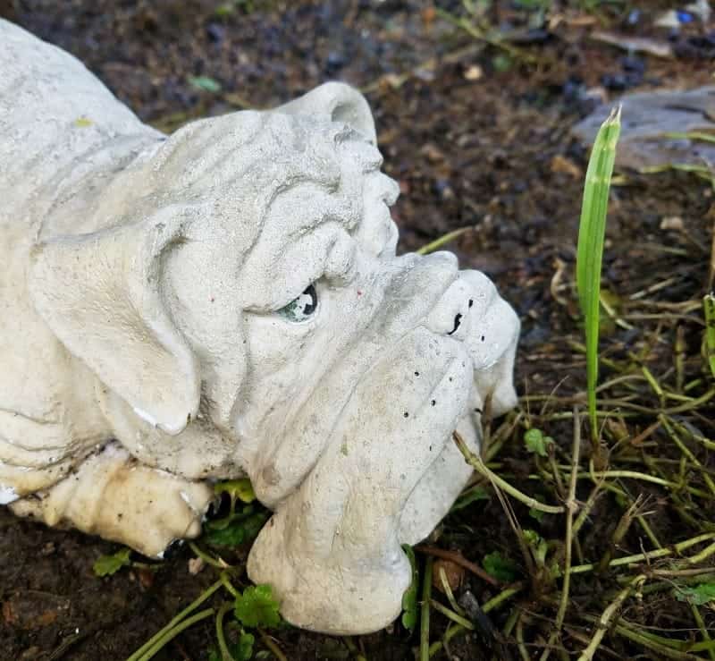 Adorable Decorative Downspouts Will Add