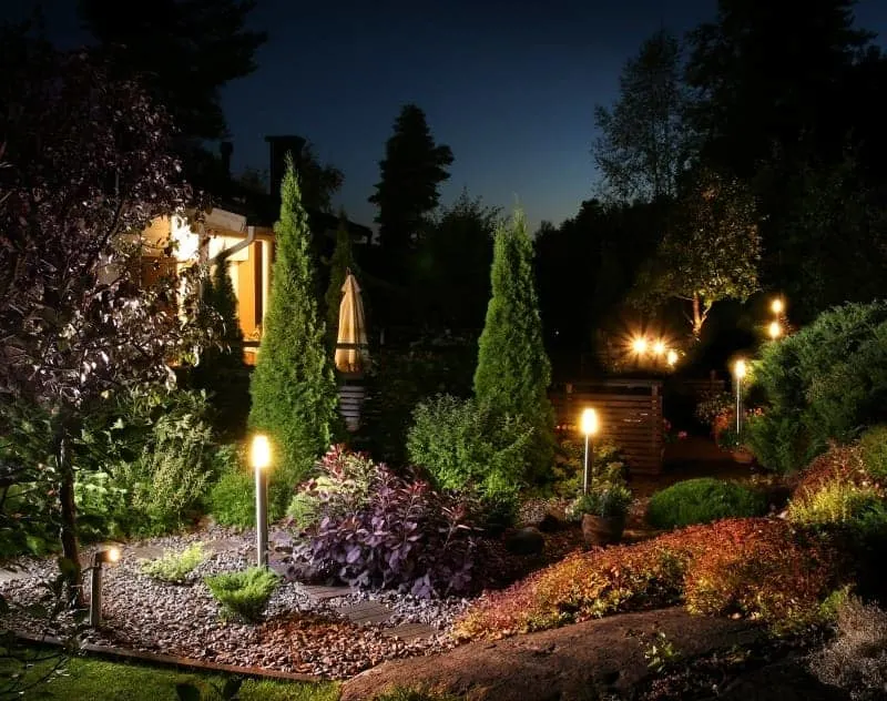 A garden lit-up at night