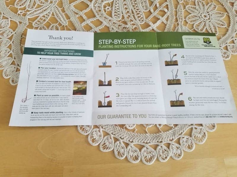 Planting tree instructions