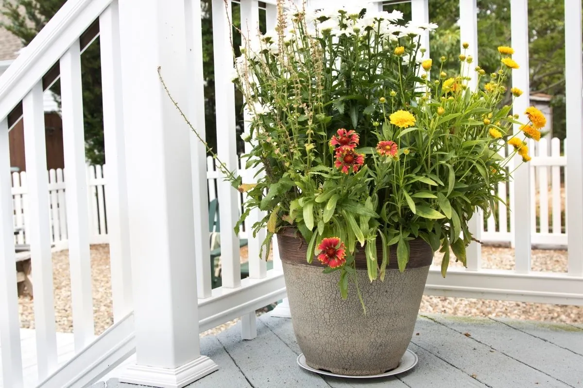 a porch planter filled with colorful flowers