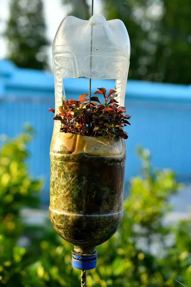 Recycled bottle flower pot