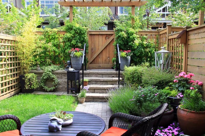 Cozy small backyard