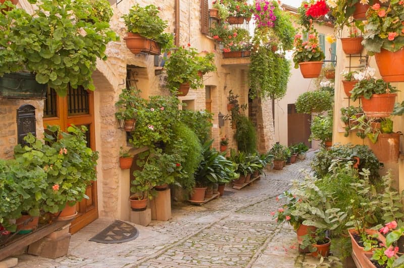 Vetical garden in hanging pots