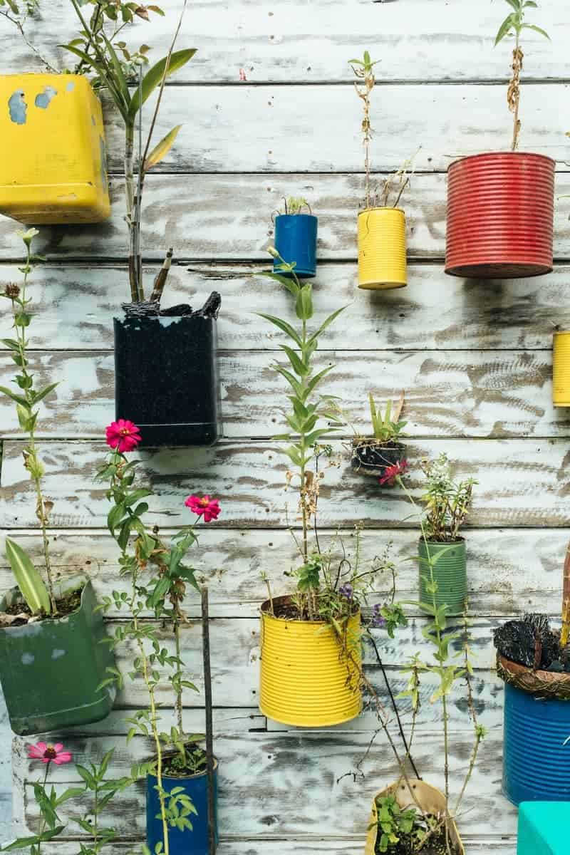 Recycled vertical hanging garden