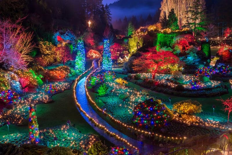 Butchart Gardens Colorful Christmas lights