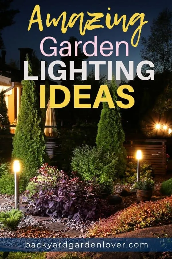 Garden lit up at night