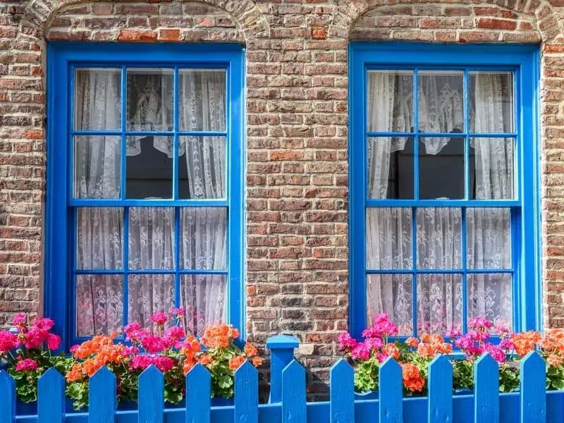 Blue fence and window frames