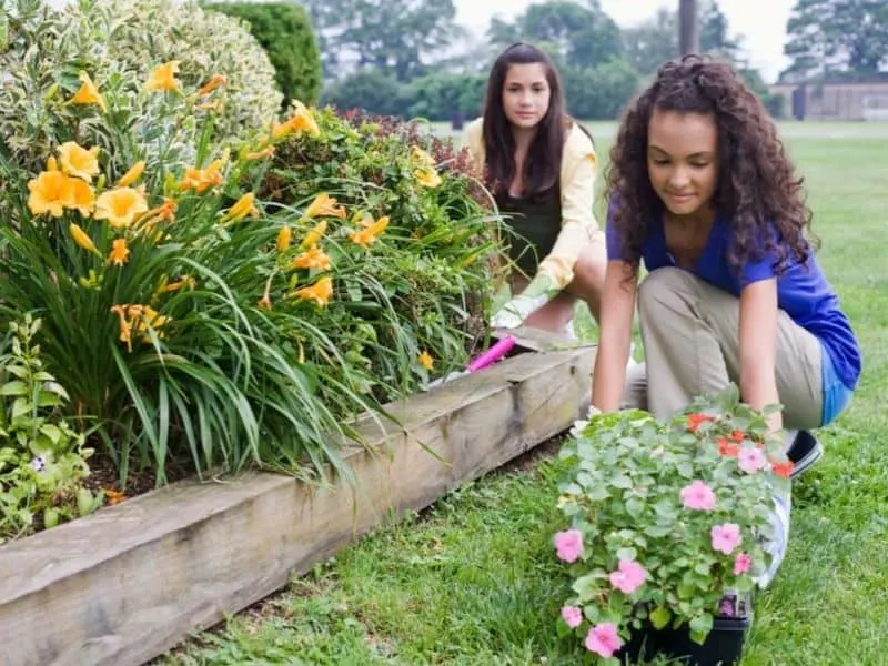 Young girls planting a flower border