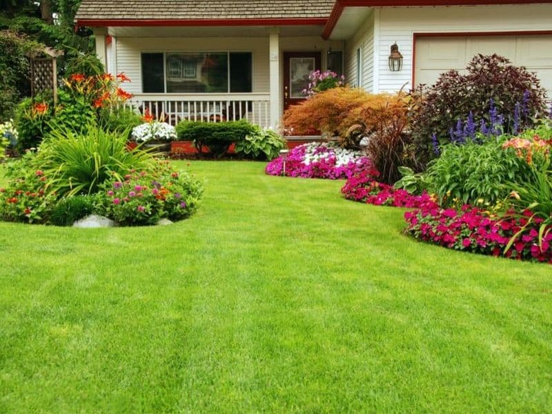 Beautifully manicured lawn