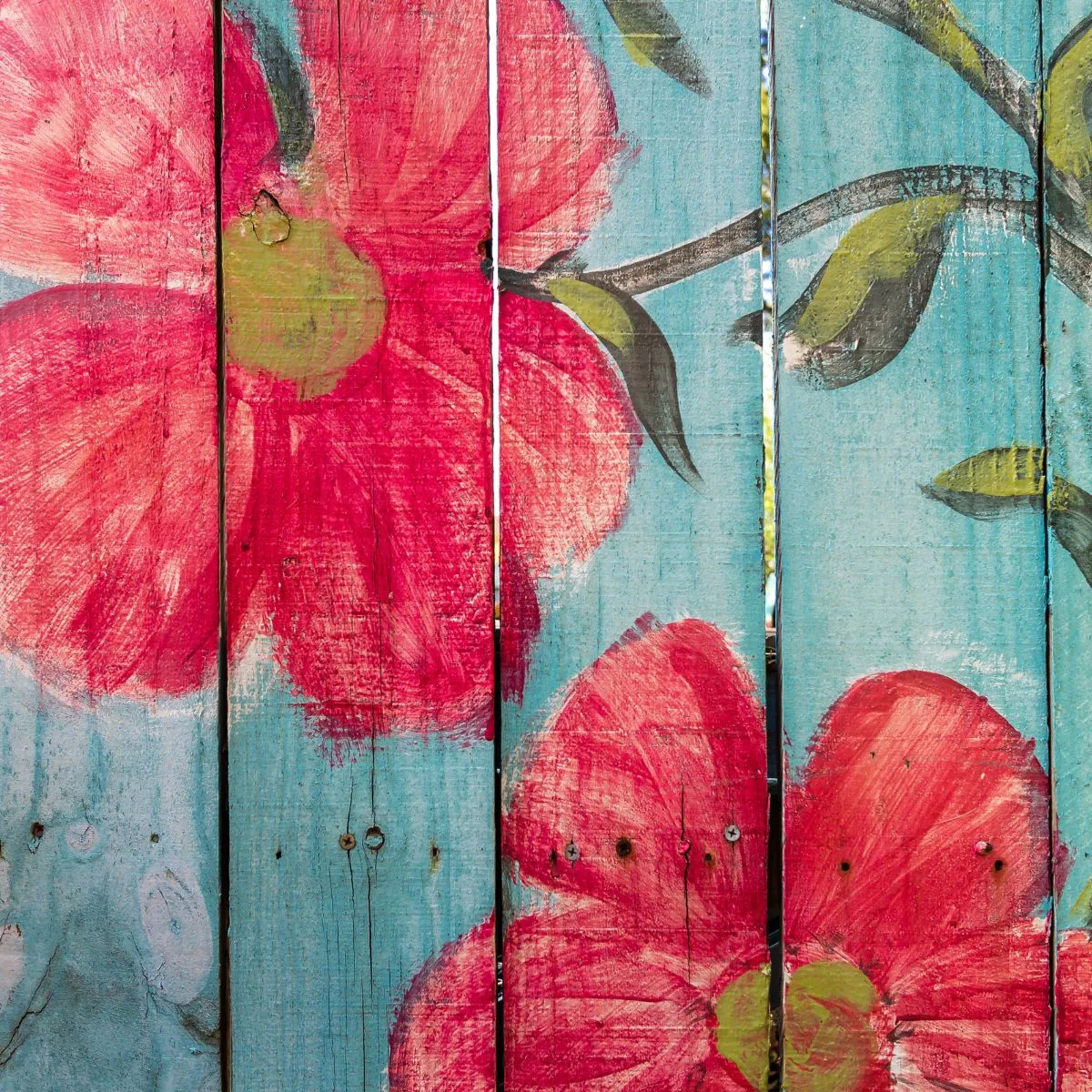Beautiful large red flowers painted on a pastel blue fence.