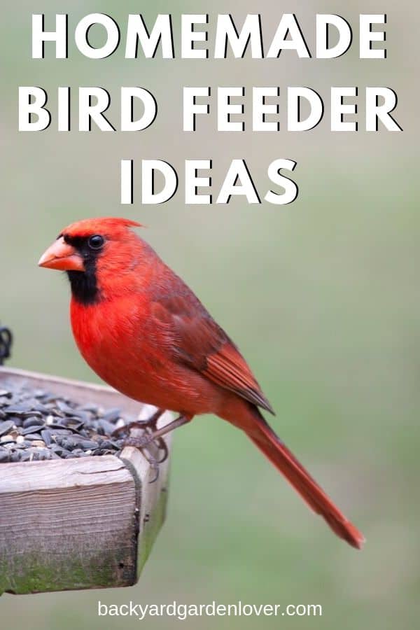 Red cardinal perched on a homemade bird feeeder