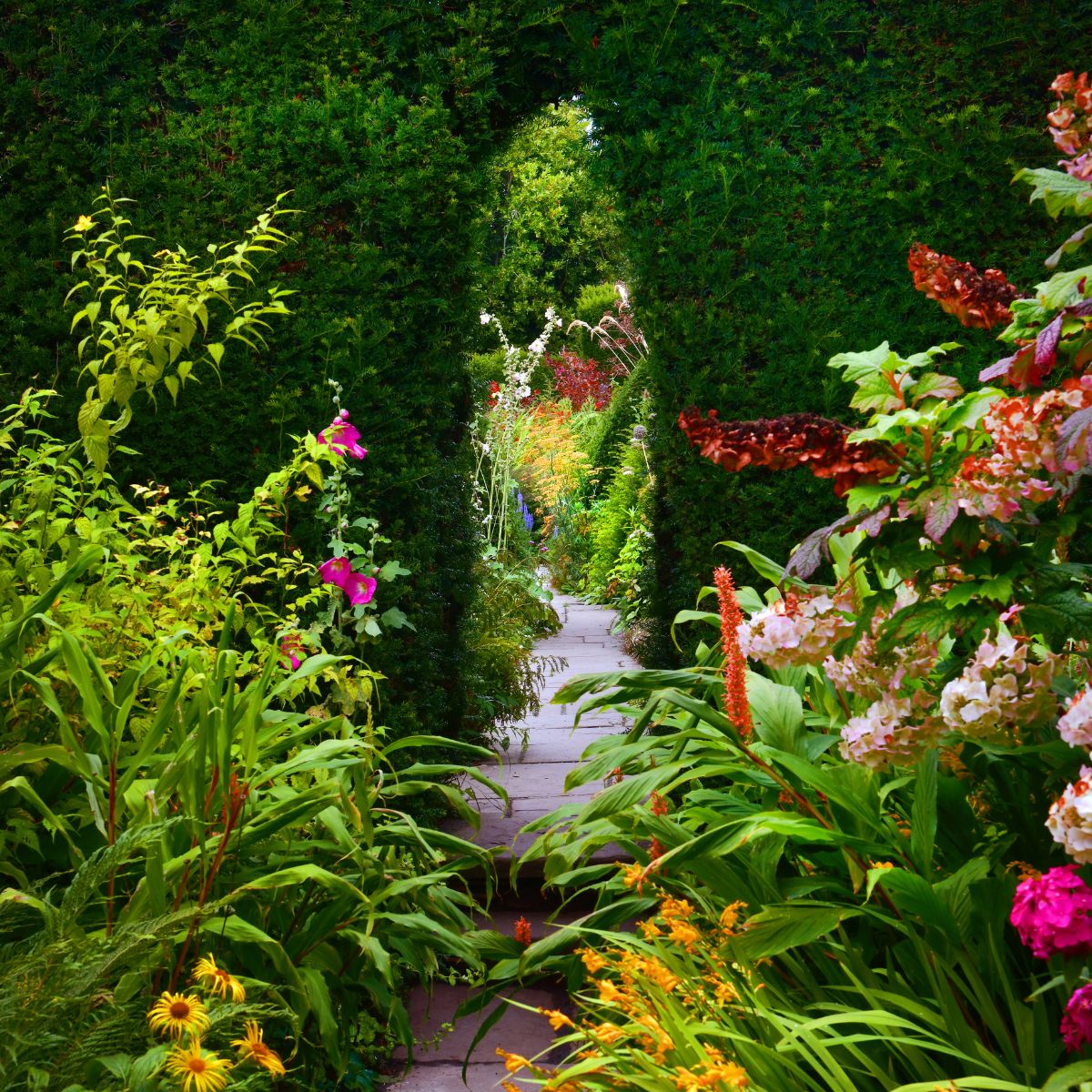 A narrow path through a beautiful secret garden.