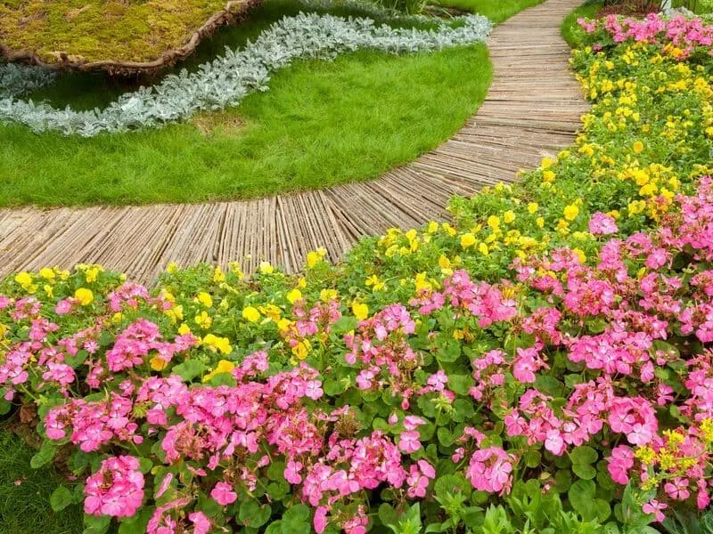 Pink and yellow flowers edging a windy path