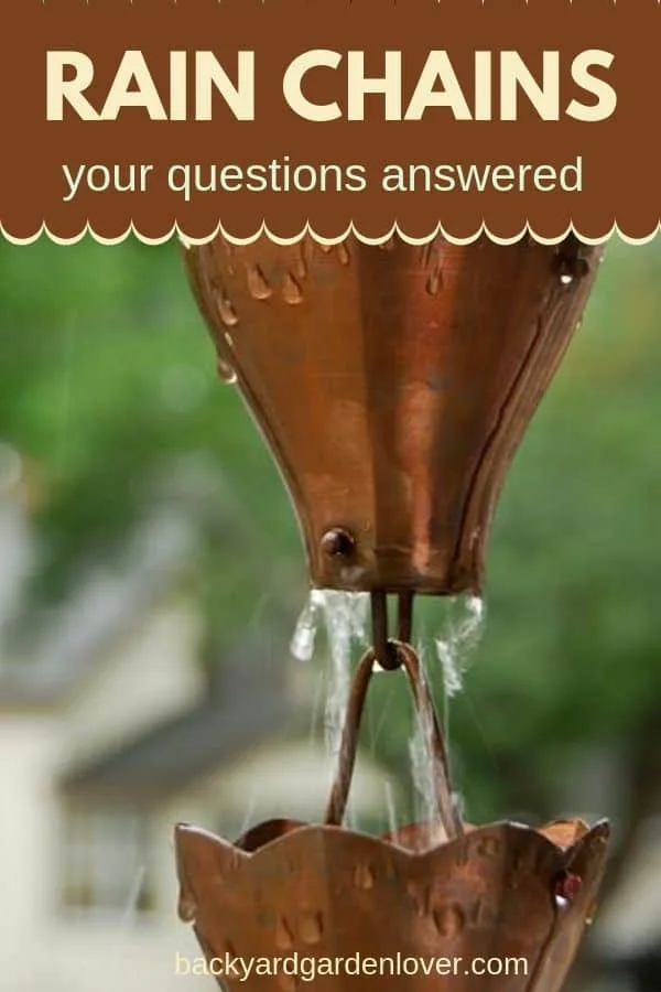 Rain chains - your questions answered - Pinterest image