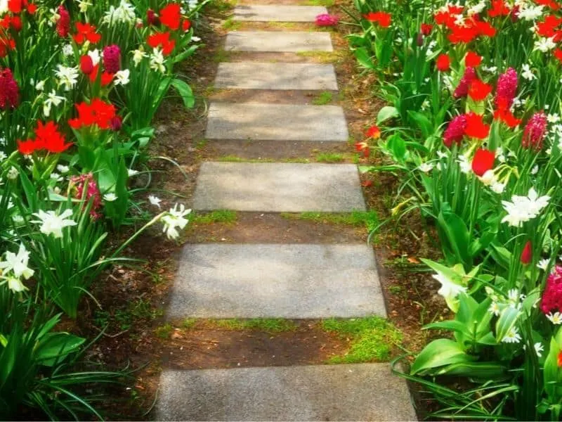 Red and white spring walkway 