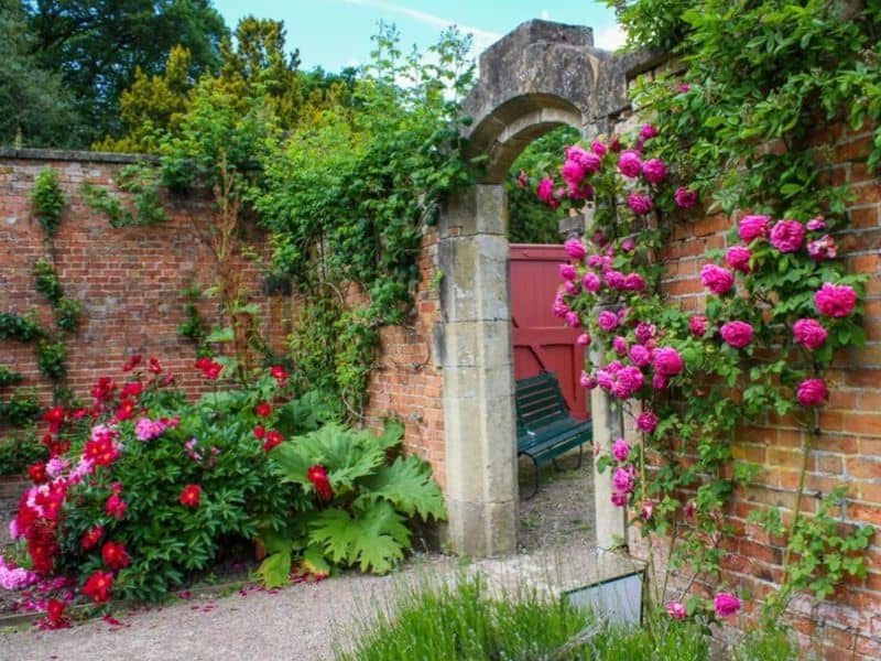Secret garden
