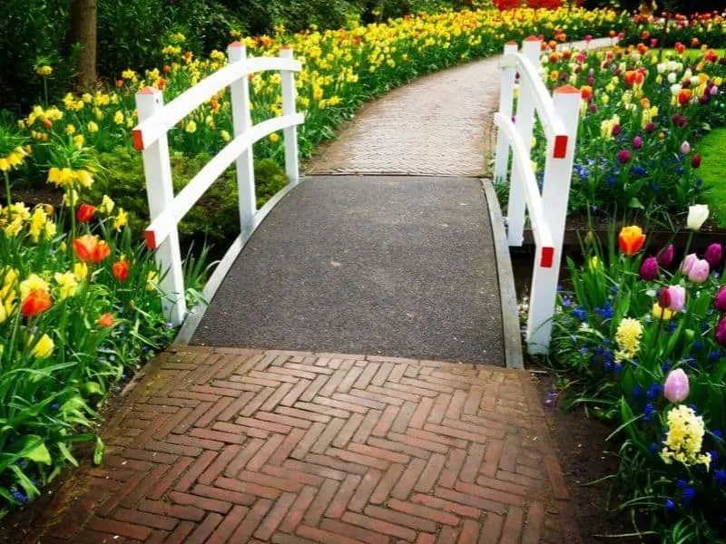 Colorful walkway surrounded by spring flowers
