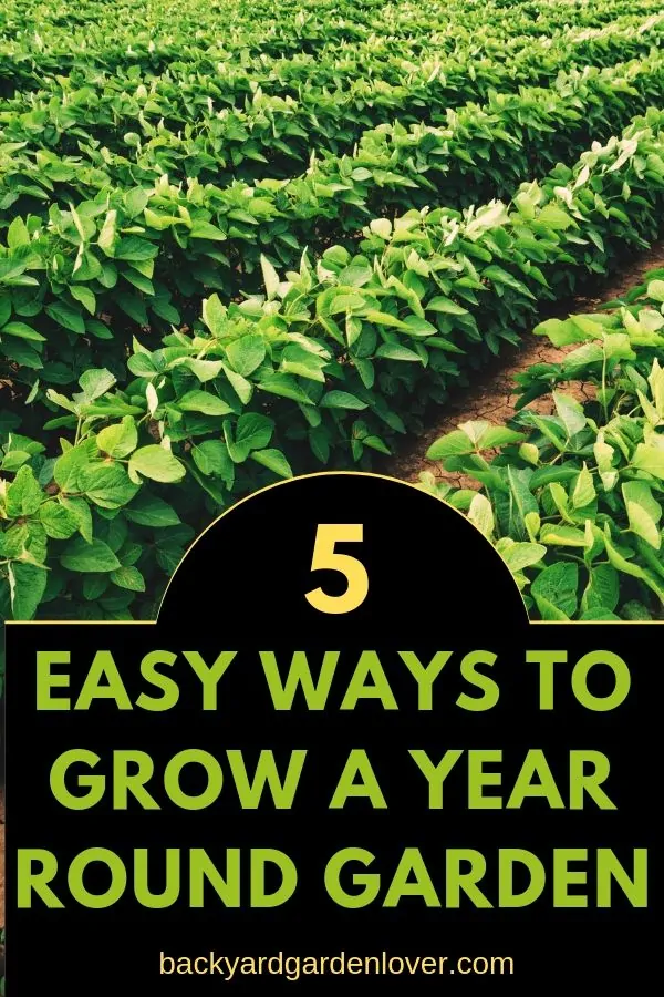 5 easy ways to grow a year-round garden - Pinterest image