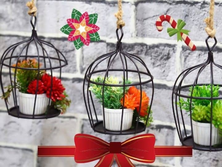 30+ Creative Christmas Gift Ideas For Gardeners