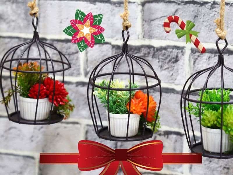 Christmas gifts for garden lovers