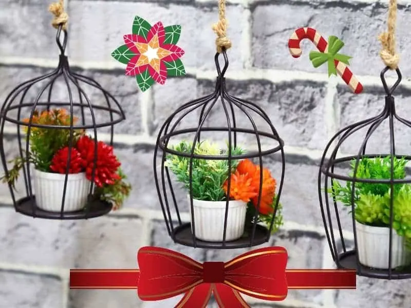 Christmas gifts for garden lovers