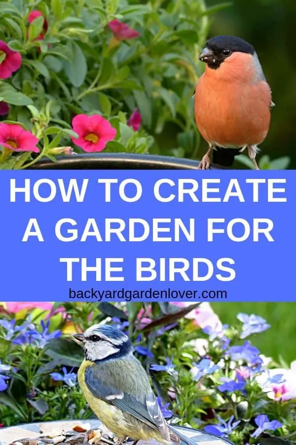 How to create a garden for the birds - Pinterest image