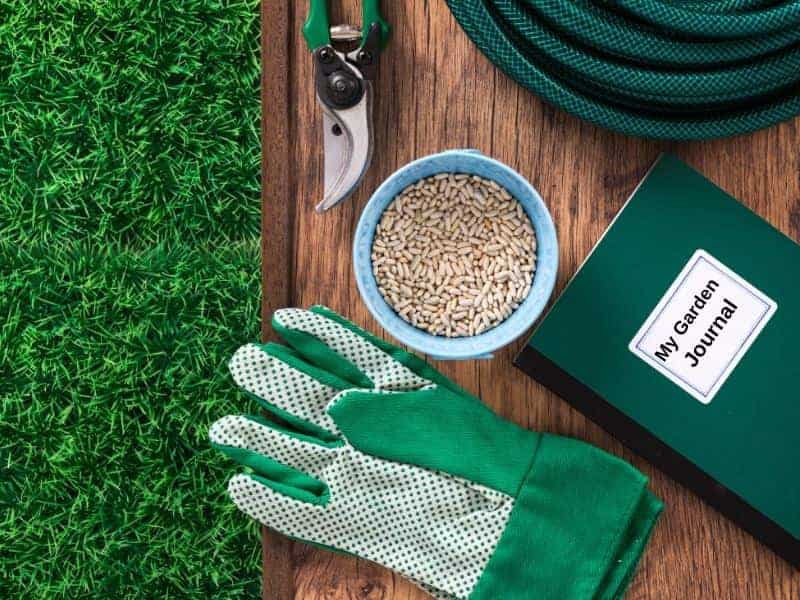 Garden accessories, including gloves, pruners and a garden journal