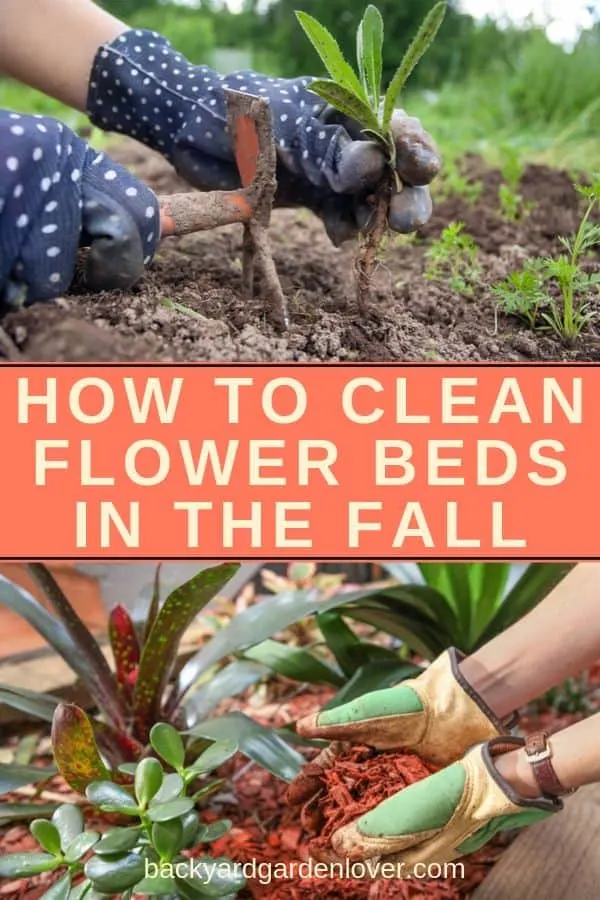 How to clean garden beds in the fall - Pinterest imge
