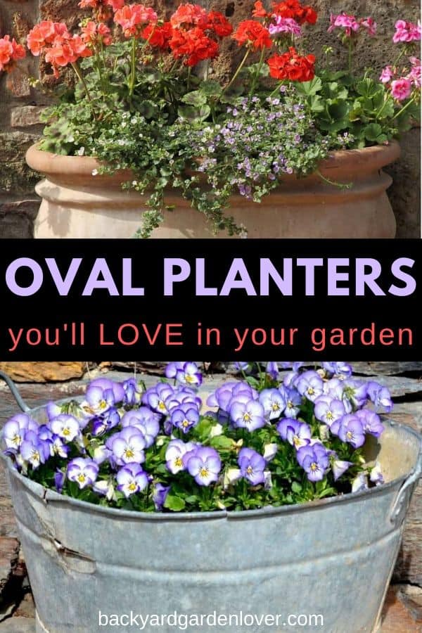 Oval planters you\'ll love in your garden - Pinterest