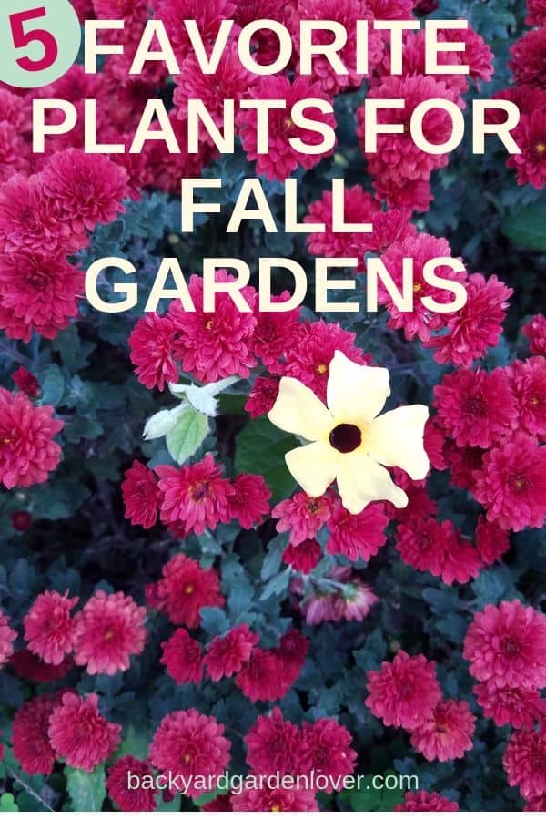 Best plants for fall gardens -  Pinterest image