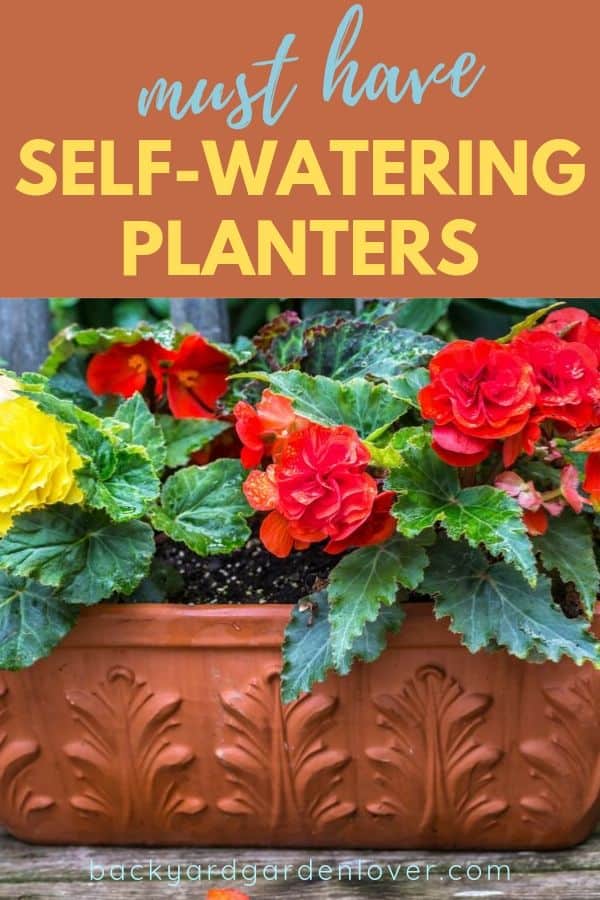 Must-have self-watering planters - Pinterest image