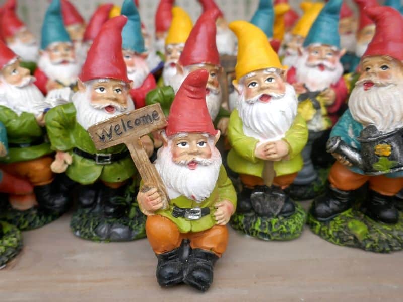 Welcoming gnomes