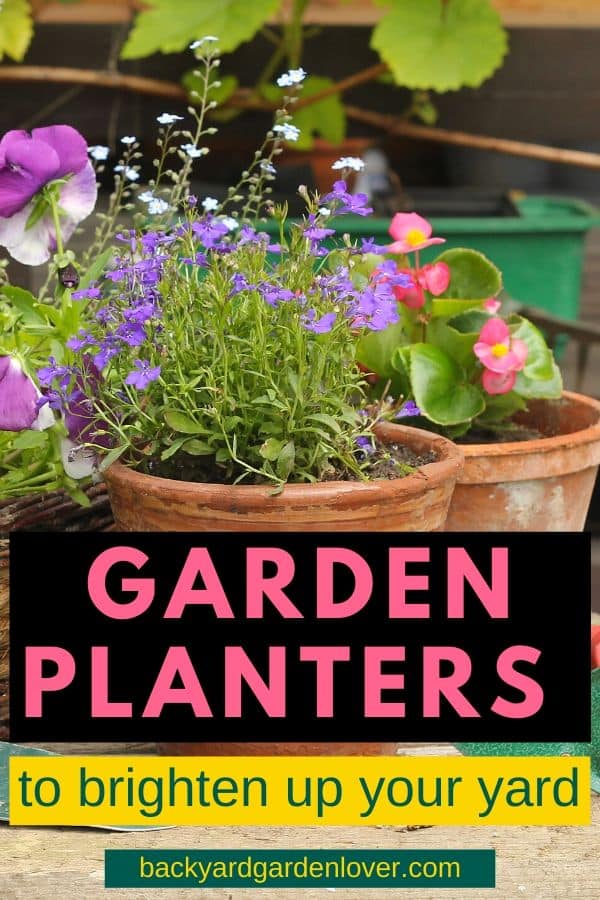 Garden planters filled with pretty purple and pink flowers