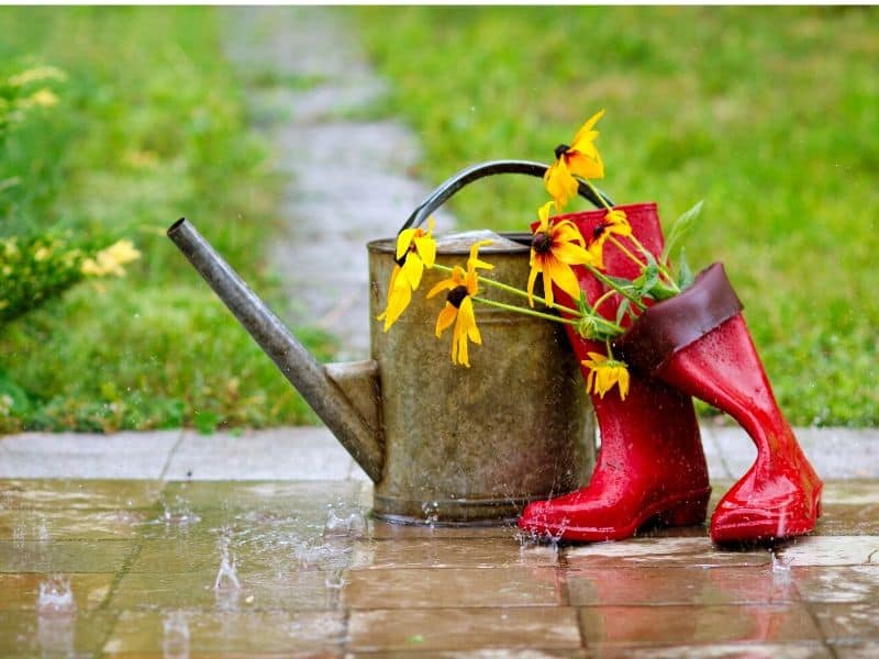 Waterproof garden shoes