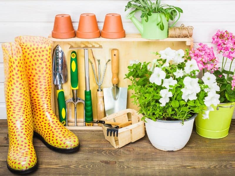 A bunch of garden supplies: rubber boots, pretty pots and gardening tools 