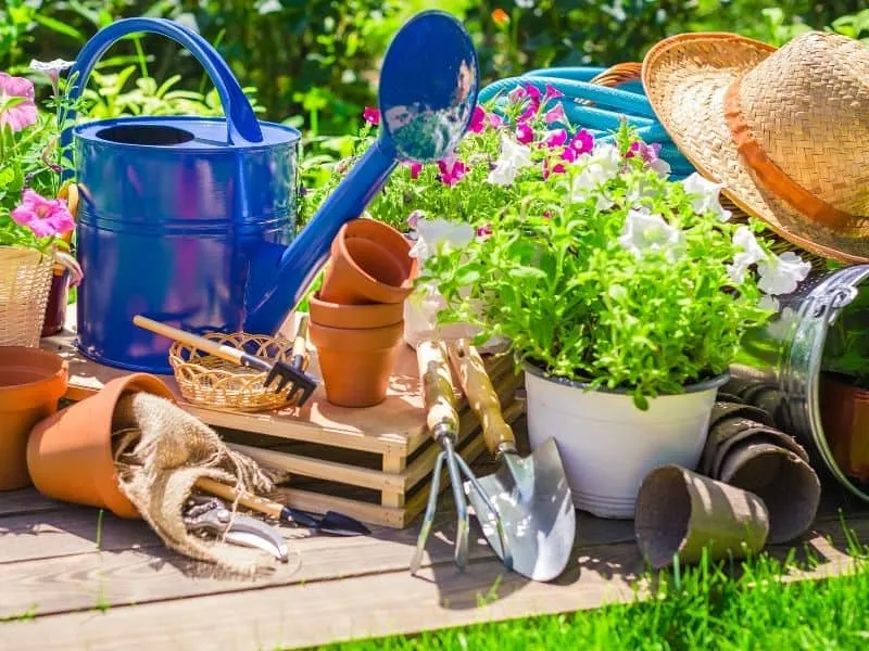 Gardening accessories: watering can, flower pots, sun hat, garden tools and more