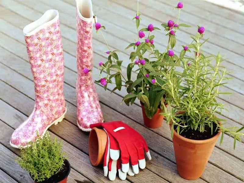 Gardening gloves and boots