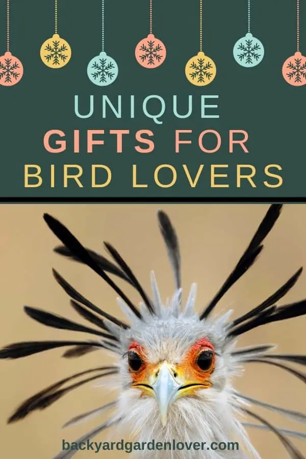 Unique gifts for bird lovers  - Pinterest image
